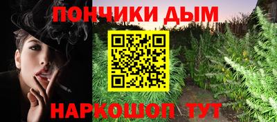 прущие грибы Можга