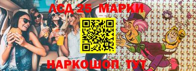 прущие грибы Можга