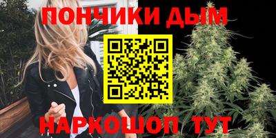 прущие грибы Можга