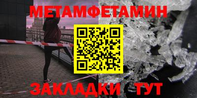 прущие грибы Можга
