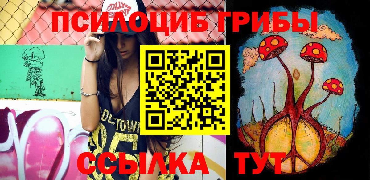 Псилоцибиновые грибы Cubensis  Вход с VPN  Псилоцибиновые грибы Magic Shrooms  Химки 